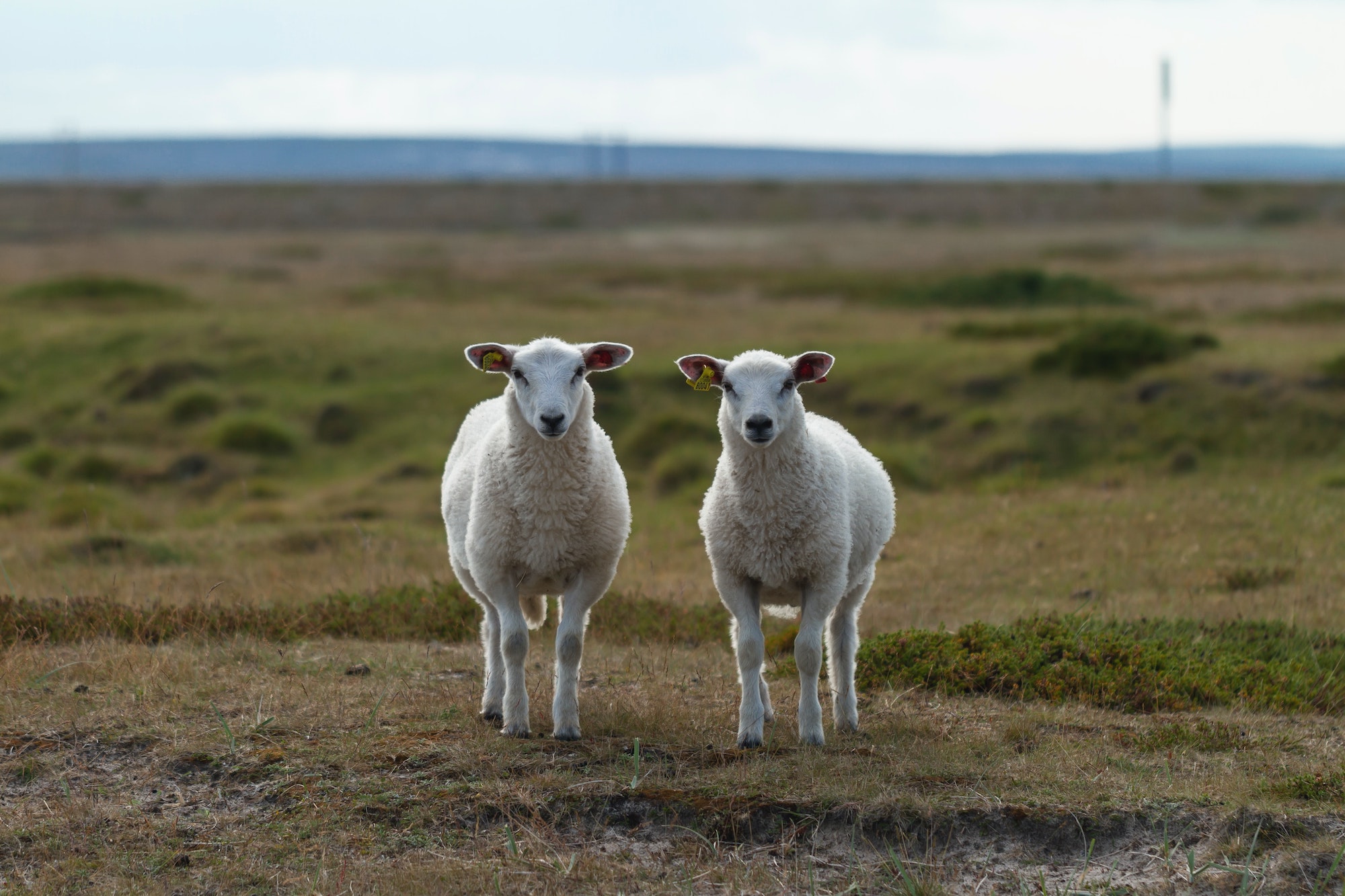 jorgen-haland-4yOgRb_b_i4-unsplash1